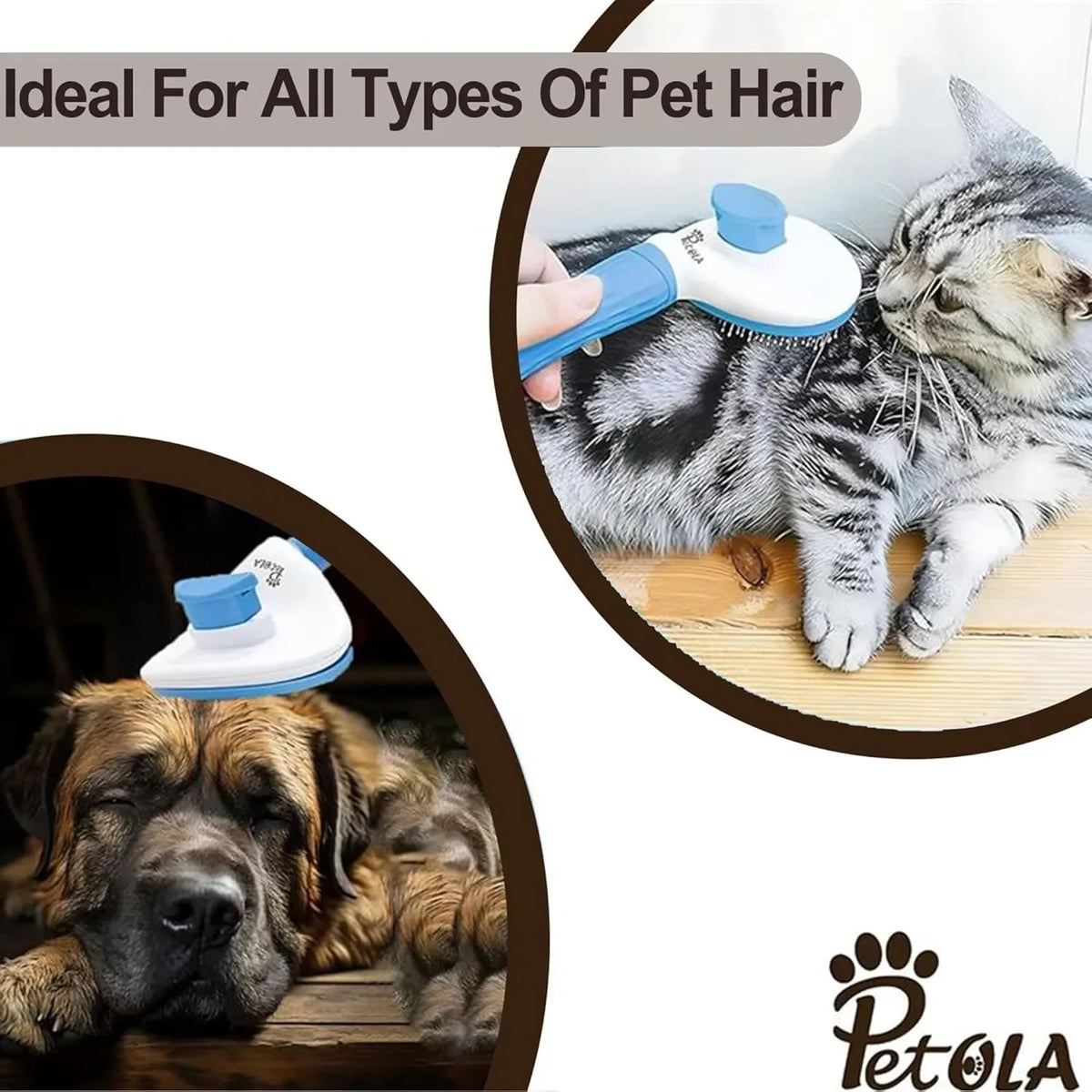 Petola slicker grooming brush in blue for detangling fur, removing loose hair, and reducing shedding